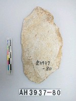 藏品(中型舌刃打製石斧)的圖片